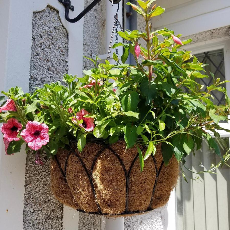 Eden'S Rest Bed And Breakfast Bugle Kültér fotó